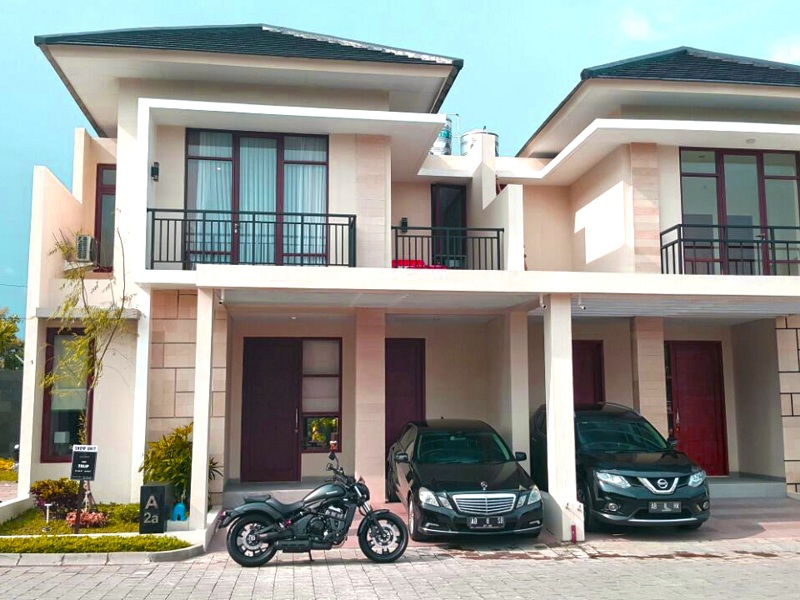 Laguna spring hill tipe tulip