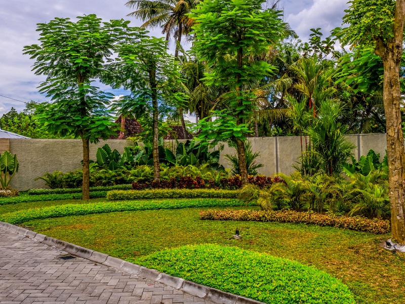 Laguna spring resort botanical garden